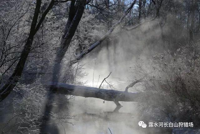 副攻崛起！中国女排新星完胜袁心玥王媛媛，击败李盈莹，蔡斌捡到宝了
