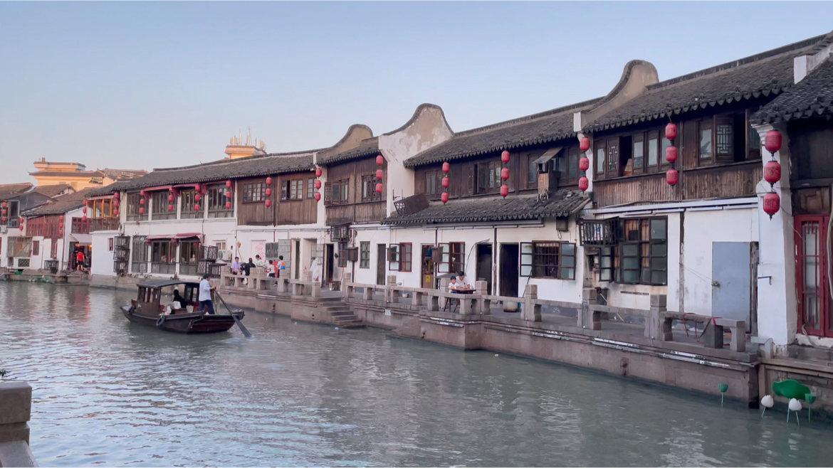 可爱小猫向上跳